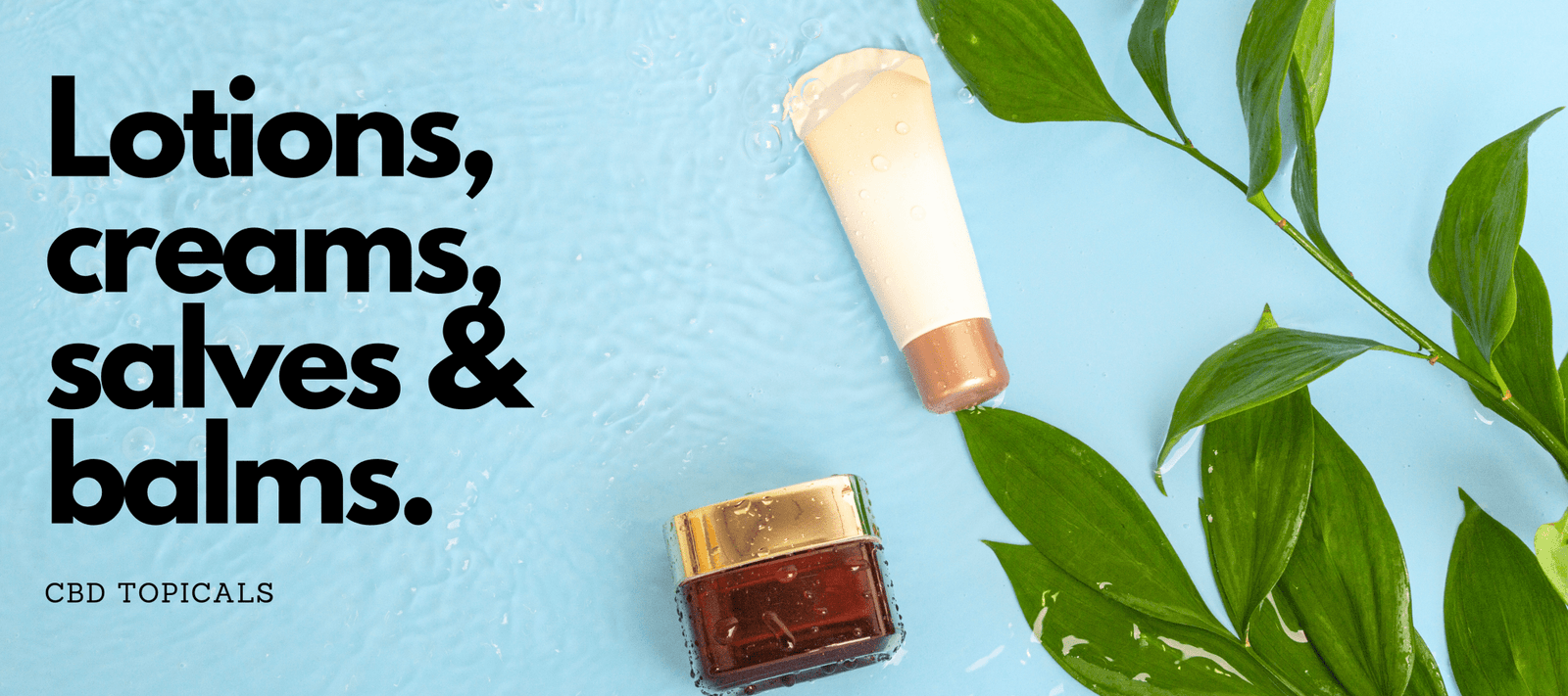 CBD Topicals and how they help